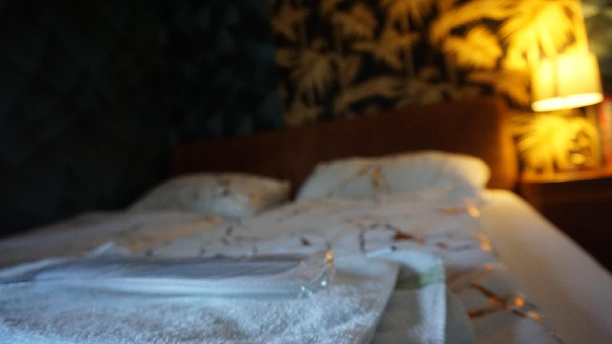 Darkwolf House Apartment Мерзебург Екстериор снимка