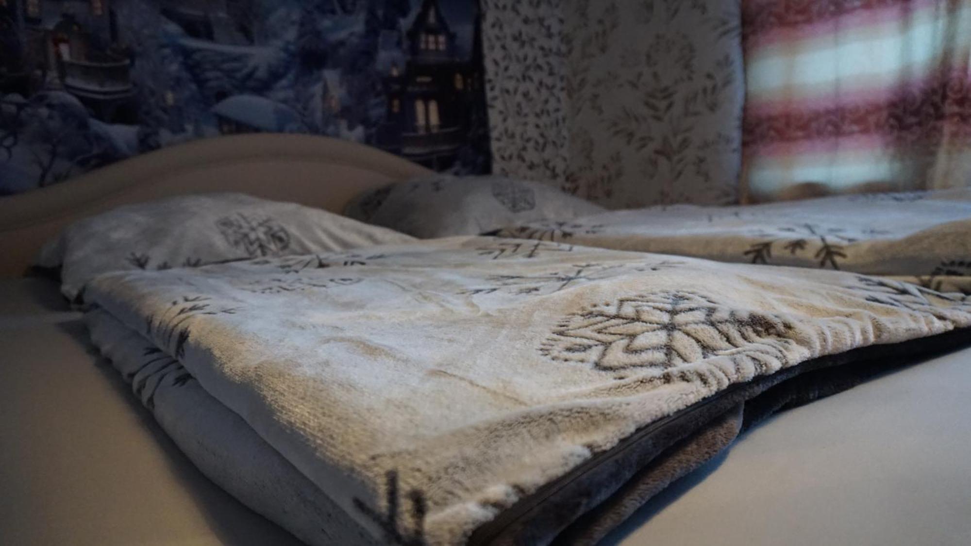 Darkwolf House Apartment Мерзебург Екстериор снимка