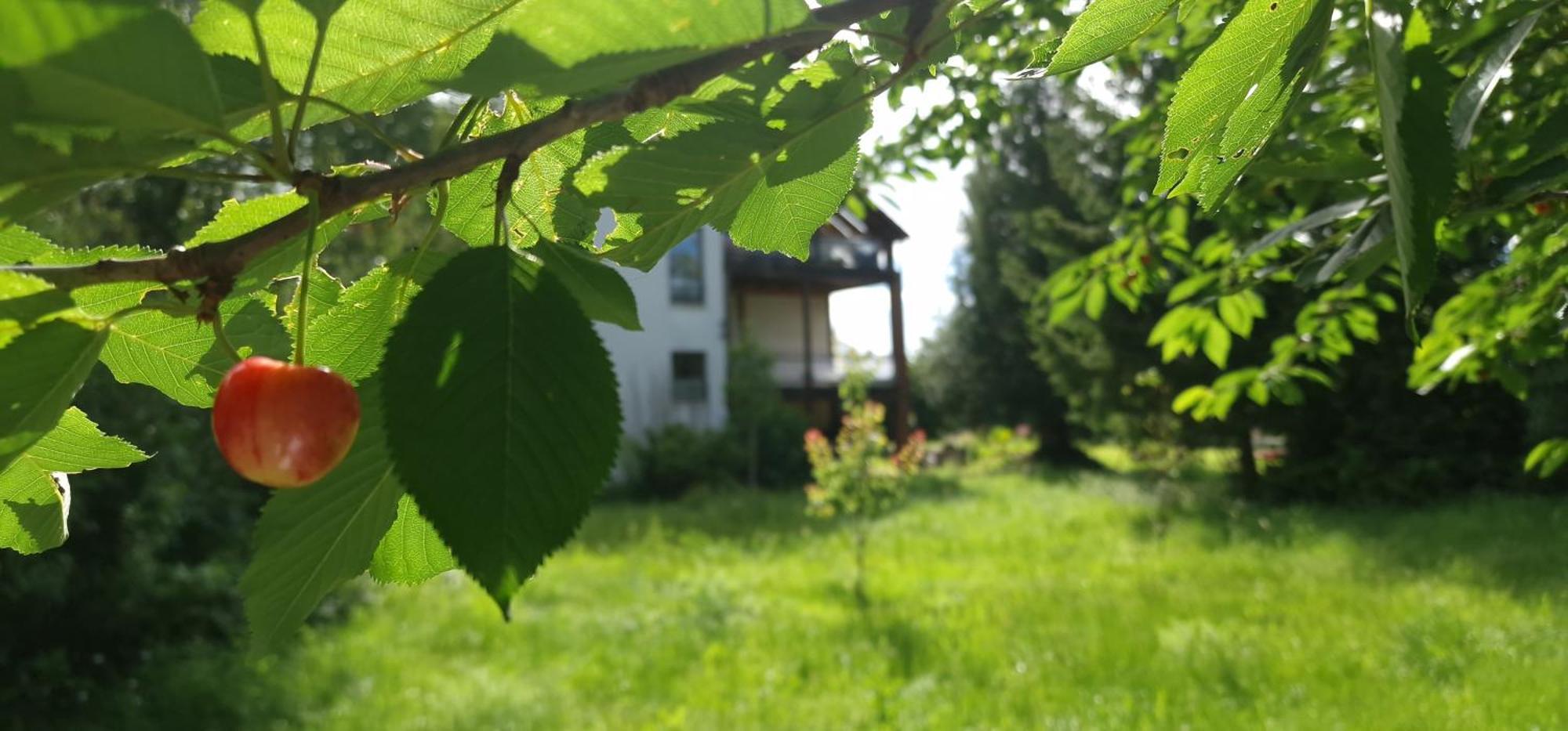Darkwolf House Apartment Мерзебург Екстериор снимка