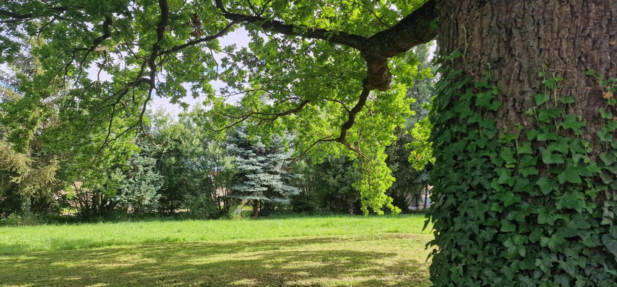 Darkwolf House Apartment Мерзебург Екстериор снимка